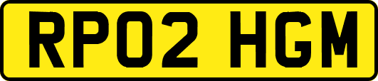 RP02HGM