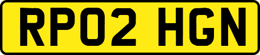 RP02HGN