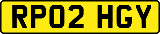 RP02HGY
