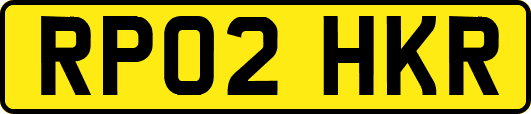 RP02HKR