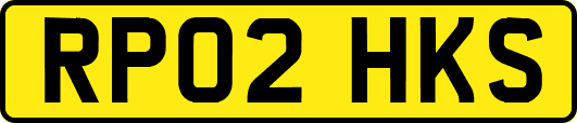 RP02HKS
