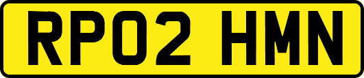 RP02HMN