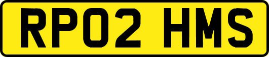 RP02HMS