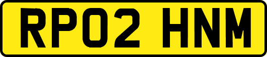 RP02HNM