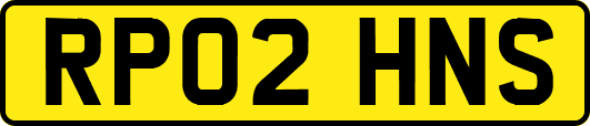 RP02HNS