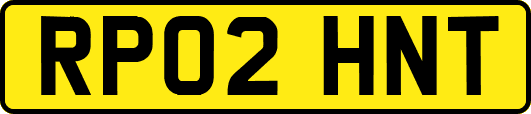 RP02HNT