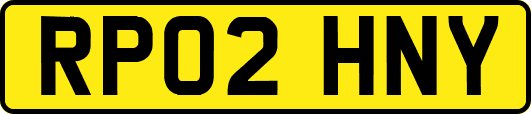 RP02HNY