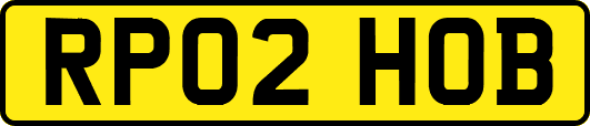 RP02HOB