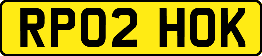 RP02HOK