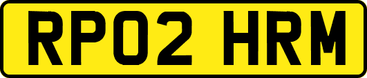 RP02HRM