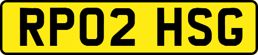 RP02HSG