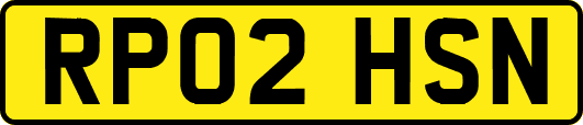 RP02HSN