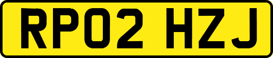 RP02HZJ