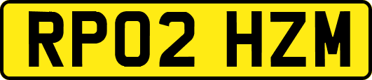RP02HZM