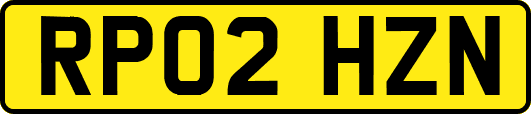 RP02HZN