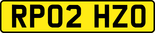 RP02HZO