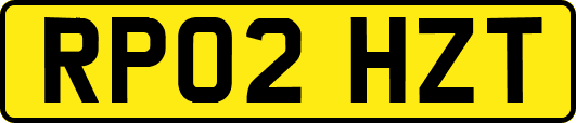 RP02HZT