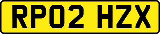 RP02HZX
