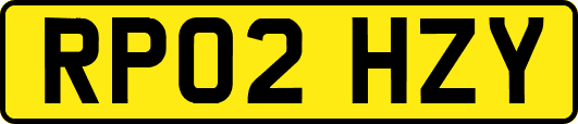 RP02HZY