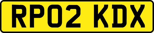 RP02KDX