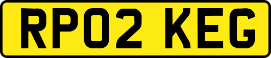 RP02KEG