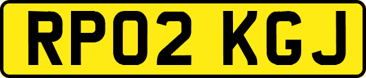 RP02KGJ