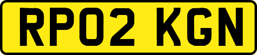 RP02KGN