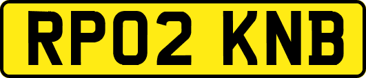 RP02KNB