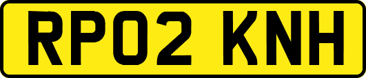 RP02KNH