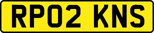 RP02KNS