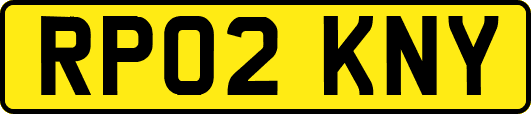 RP02KNY