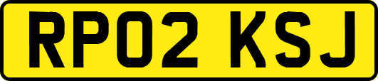 RP02KSJ