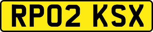 RP02KSX