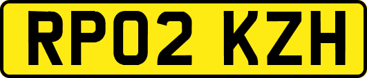 RP02KZH