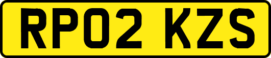 RP02KZS