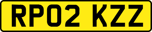 RP02KZZ
