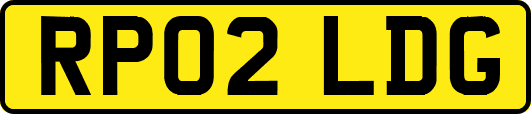 RP02LDG