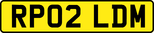 RP02LDM