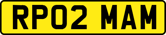RP02MAM