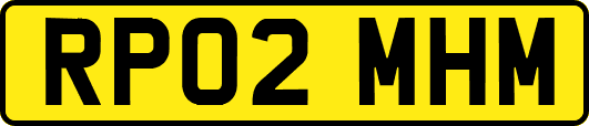 RP02MHM