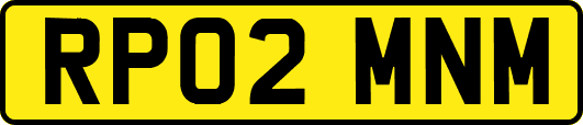 RP02MNM