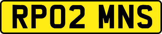 RP02MNS