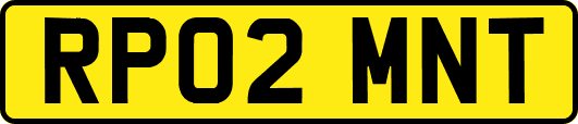 RP02MNT