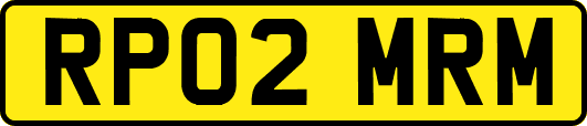 RP02MRM