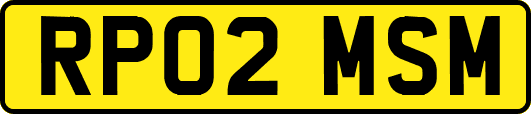 RP02MSM