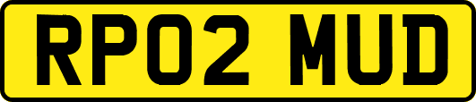 RP02MUD