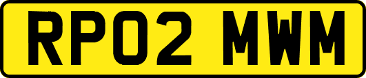RP02MWM