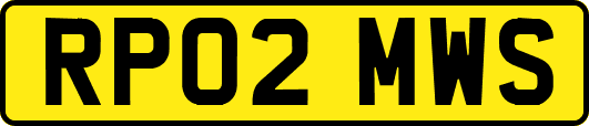 RP02MWS