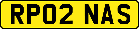 RP02NAS