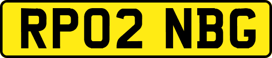 RP02NBG